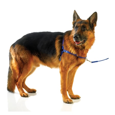 Ultrahund Freedom Harness RED LARGE